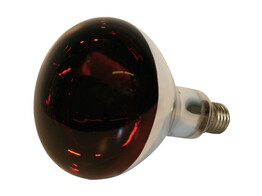 IR-lamp 250W gehard glas  rood
