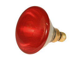 Lampe IR Kerbl economique rouge  PAR38  175W