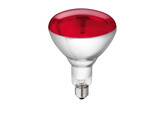 Lamp vangehardglas  Philips  150W 240V  rood