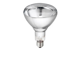 Lamp vangehardglas  Philips  240V  helder