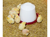 Kunststof-drinkbak  3 5 l voor kuikens en kippen