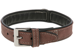 Halsband California  bruin 25 mm / 37 - 43 cm