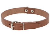 Collier pour chien Mexica taupe  29-37cm  16mm