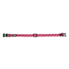 Halsband Colorado  fuchsia  15 mm / 25-35 cm