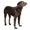 Chaussettes pour chien Susi noires  taille M