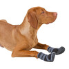 Chaussures pour chien Active gris/noir  taille XXL