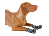 Chaussures pour chien Active gris/noir  taille XXL