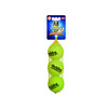 Tennis ball with squeeker   M 6 5 cm  Net of 3 pcs