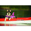 Dog Buoyancy Aid  Sharki    size  XS  25 cm