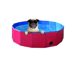 Piscine pour chien   S  O 80 x 20 cm