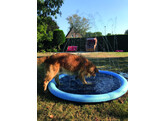 Splash Pool   O 150 cm