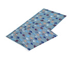 Tapis rafraichissant  LISSI    XS  40 x 30 cm