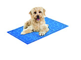 Cooling mat  Comfort    S  50 x 40 cm