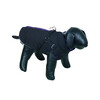 Manteau pour chien  SOBAK 2 in 1    20 cm