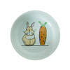 Rodent Ceramic bowl  Carrot Plus    O 11cm x 4 5 cm  300 ml