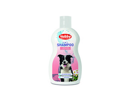 2 in 1 Shampoo   300 ml