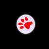 LED Pointer  PAW    display 12 pcs.