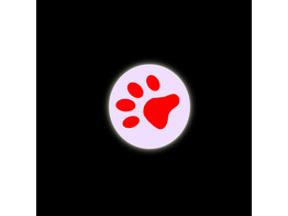 LED Pointer  PAW    display 12 pcs.