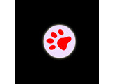 LED Pointer  PAW    display 12 pcs.