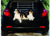 Protection chien pour voiture   w  85 - 140 cm  h  78 - 105 cm