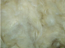 Kapok wool   50g