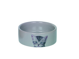 Ceramic cat bowl  Cute    O 12 0 x 4 5 cm  0 25 l