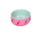 Rodent ceramic feeding bowl  Wortel    O 11 x 4 5 cm  0 3 l