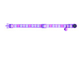 Cat Collar  Flower Lilac 