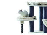 Cat-scratcher  ARDA    O 70 x 138 cm