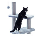 Cat-scratcher Classic  ZERA    50 x 50 x 97 cm