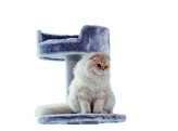 Arbre a chat classic  MELO    O 50 x 126 cm