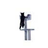 Cat-scratcher Classic  MELO    O 50 x 126 cm