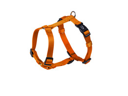 Harness  Classic    chest  20/35 cm  w  10 mm