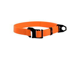 Dog collier  Evolutor    adjustable  one size fits     orange