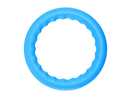 PitchDog30  fetch ring  diameter 28 cm  Blue