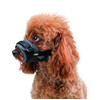 Muzzle adjustable       L  Snout 18-25 cm