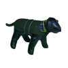 Dog coat  SELA    55 cm