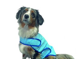 Pet Ice Vest / Bath robe  Comfort    L  30 cm