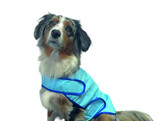 Pet Ice Vest / Bath robe  Comfort    L  30 cm