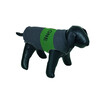 Dog coat  THE ONE    20 cm