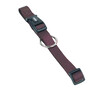 Collier  Classic    l  13-20 cm  w  10 mm