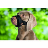 Nylon Muzzle Loop   Size XXL  Neck Strap  22-35 cm  Snout Strap  28-38 cm