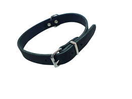 Collar  TABIL    47 cm  38-44 cm   18 mm