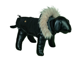 Dog coat  TOLIM    20 cm