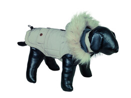 Dog coat  TOLIM    20 cm