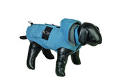 Dog coat  CANTA    20 cm