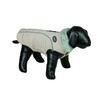 Dog coat   ALVA    80 cm