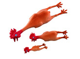 Latex chicken   26 cm