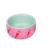 Rodent ceramic feeding bowl  Wortel    O 11 x 4 5 cm  0 3 l