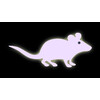 LED Pointer  MOUSE    display 12 pcs.